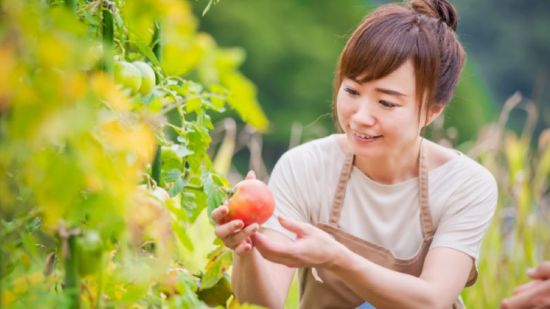 手間とコストがかかる