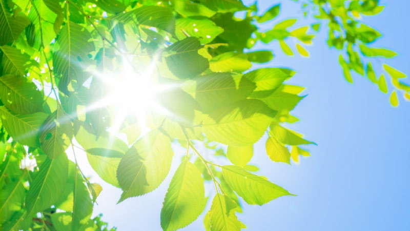 日照時間がある