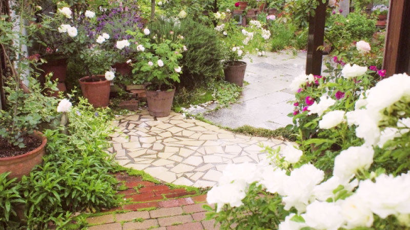 緑あふれるナチュラルな庭レイアウト