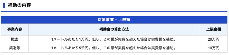 補助の内容の表