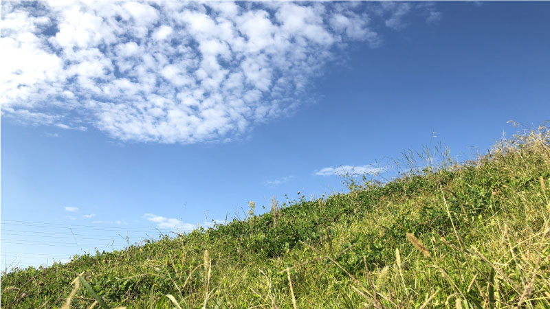 傾斜地には向かない