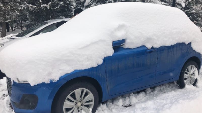 よく雪が降る地域に住んでいる