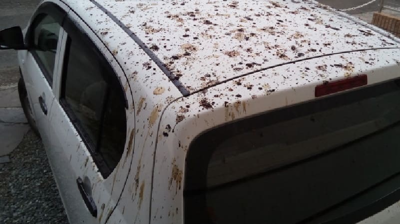 車が長持ちする