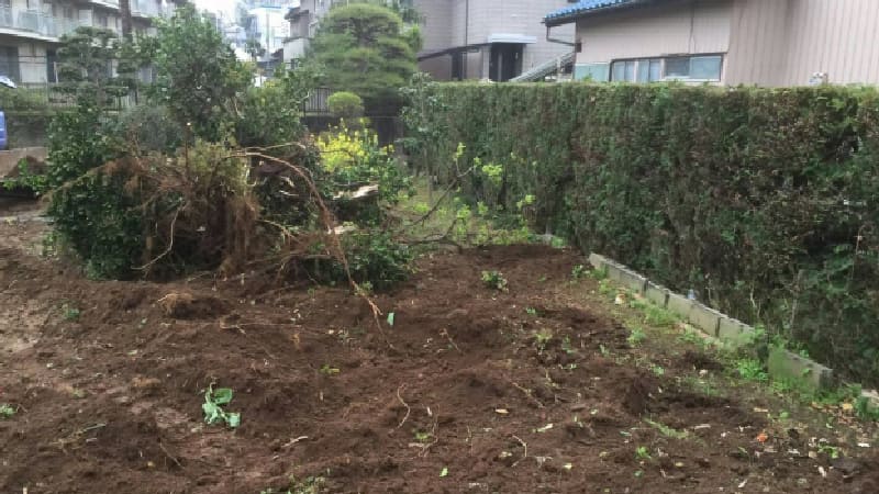 生垣の撤去工事