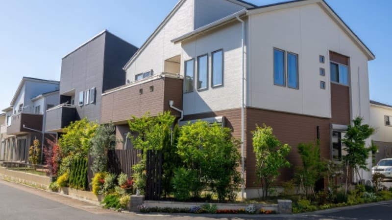 目隠しなどは植物を上手に活用