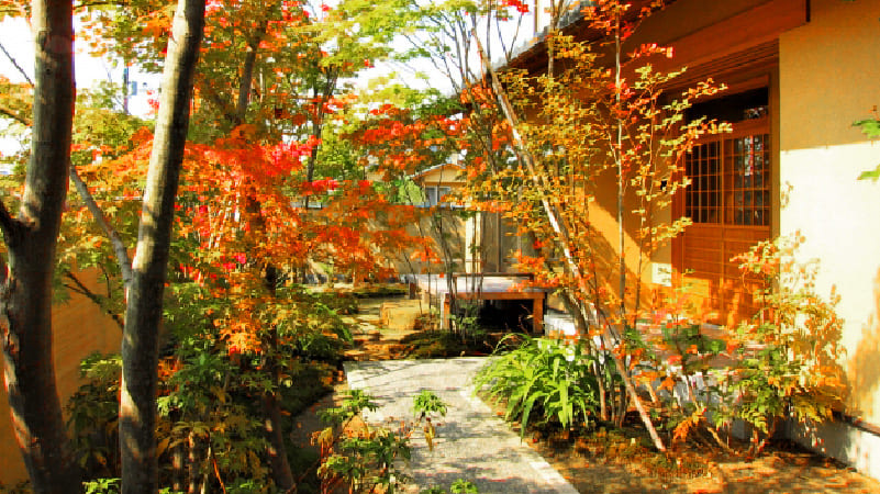 和風の庭づくり