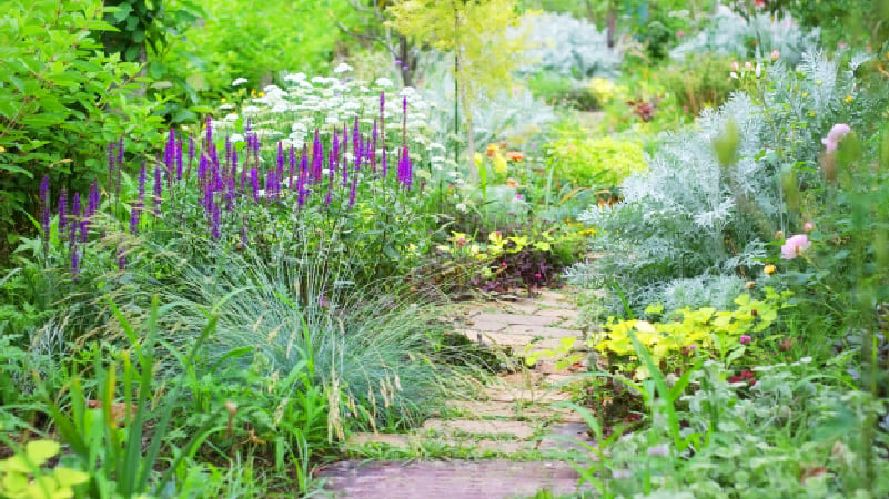 洋風の庭づくり